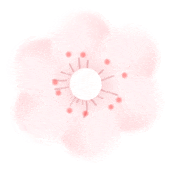 荐的攻略、路线就看这一篇j9平台春游来延庆~推(图6) 荐的攻略、路线就看这一篇j9平台春游来延庆~推(图6)