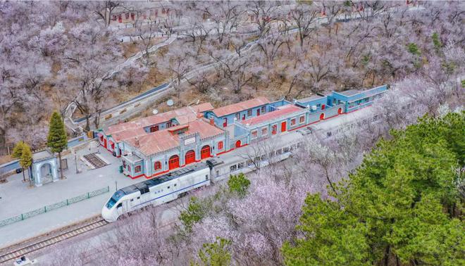 荐的攻略、路线就看这一篇j9平台春游来延庆~推(图11) 荐的攻略、路线就看这一篇j9平台春游来延庆~推(图11)